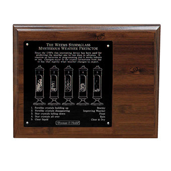 Weems & Plath Wood Display for Weems Chrome Stormglass 201