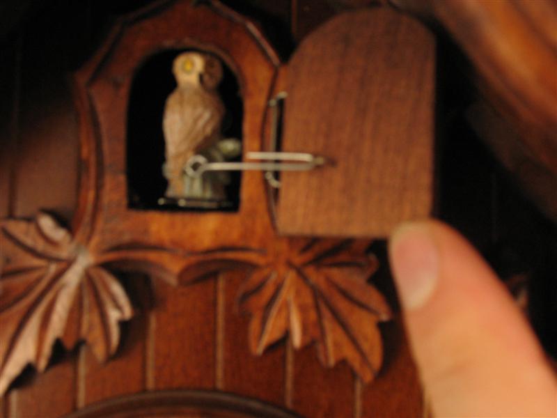 Owls