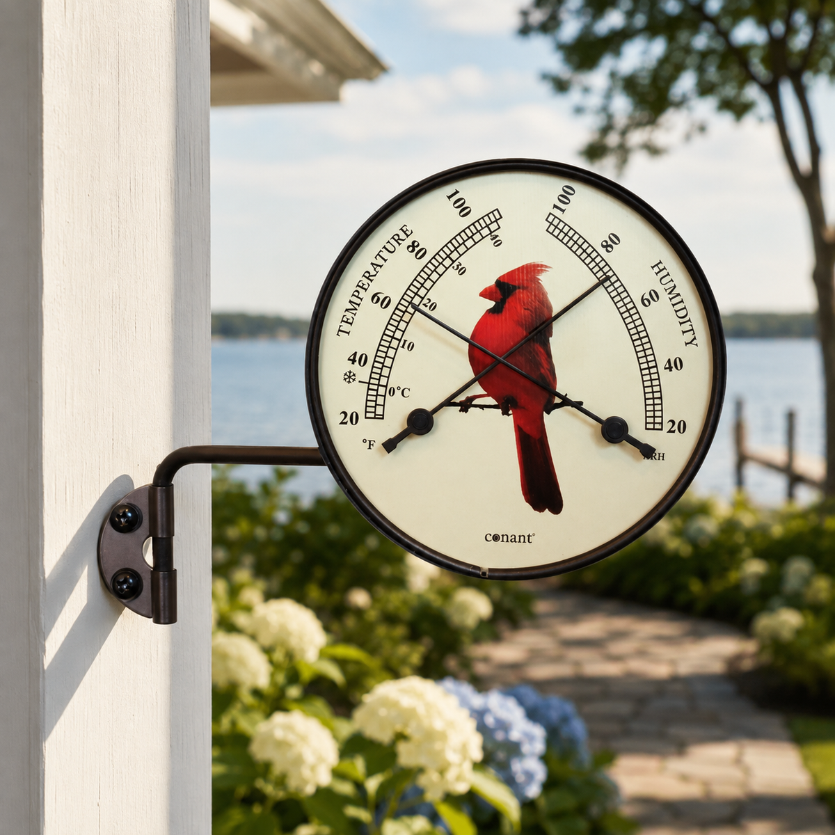 Weems & Plath Conant Décor Cardinal Comfortmeter — lifestyle view