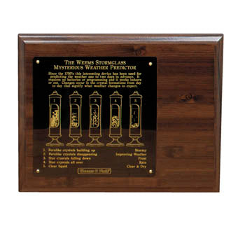 Weems & Plath Wood Display for Weems Brass Stormglass 200