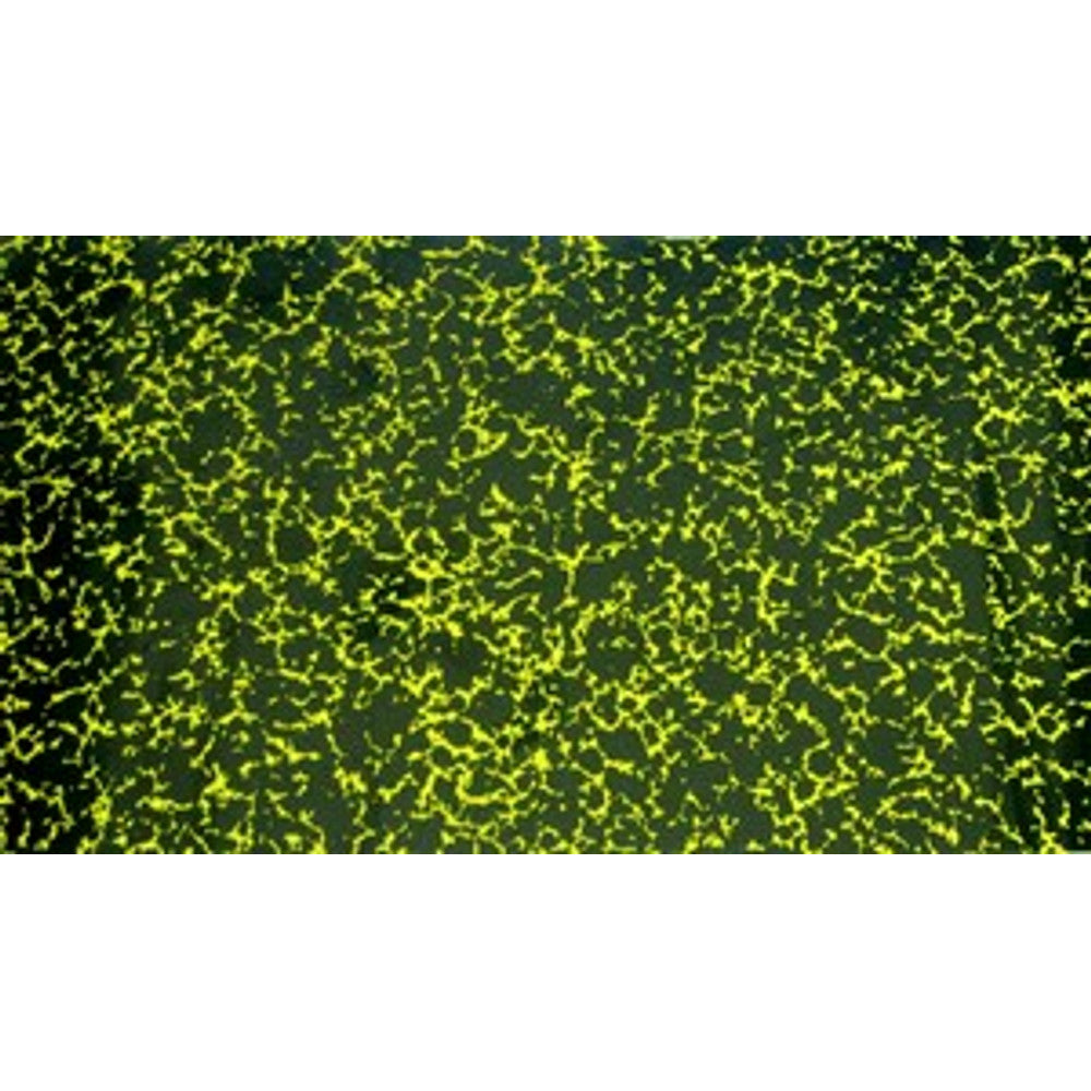 Bellow Cover Paper - Size 13 1/2in x 6in – part ABC